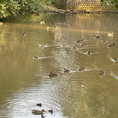 Apartment Am Teich Löhne